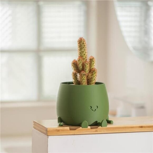 Happy Face Self Watering Planter Pot with Drainage Indoor Outdoor Succulent - Picture 7 of 8